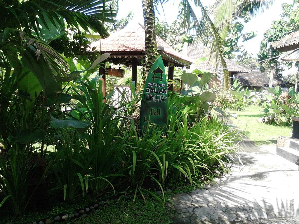 Pondok Balian Selemadeg  Exteriér fotografie